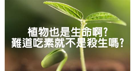 植物有生命嗎